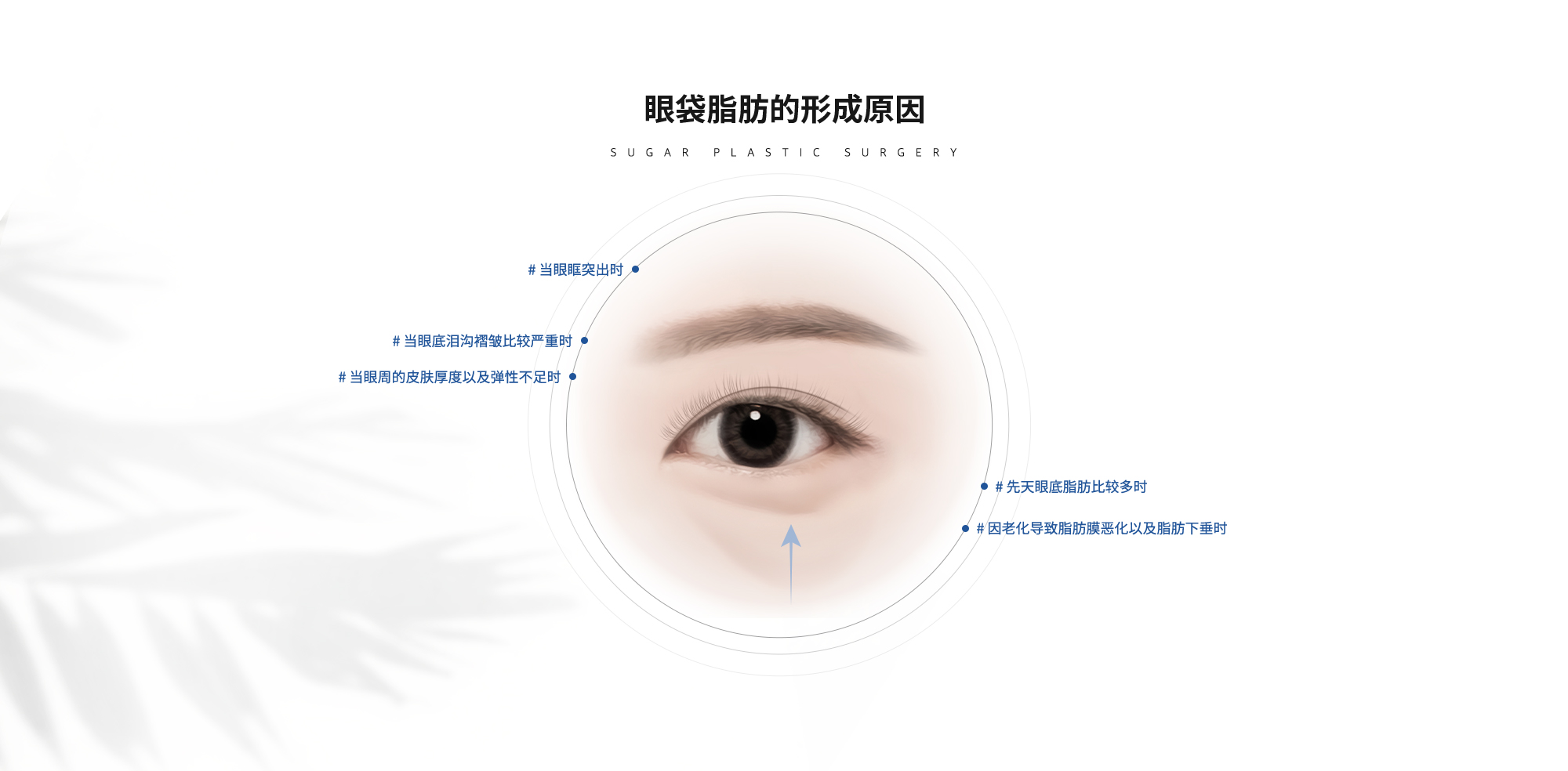 [眼袋脂肪的形成原因] # 当眼眶突出时  # 当眼底泪沟褶皱比较严重时  # 当眼周的皮肤厚度以及弹性不足时  # 先天眼底脂肪比较多时  # 因老化导致脂肪膜恶化以及脂肪下垂时