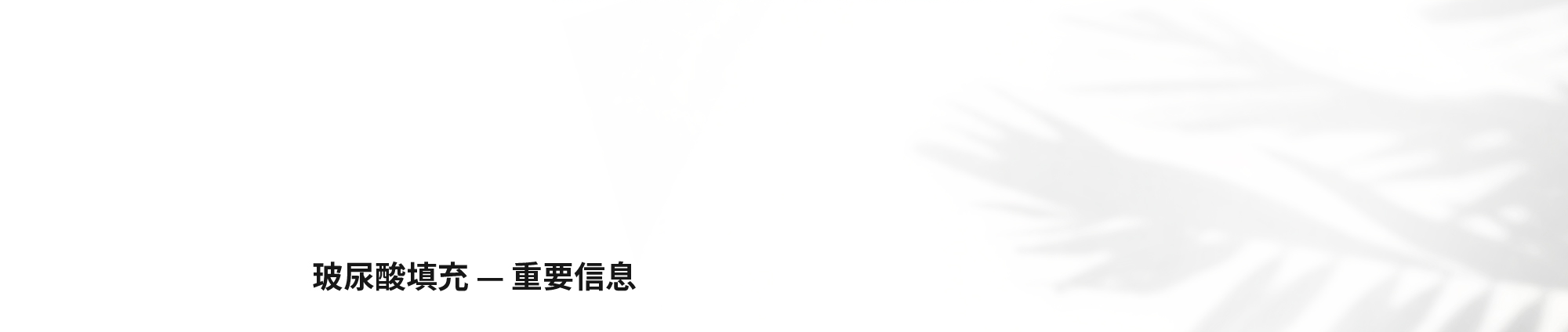 [玻尿酸填充 — 重要信息]