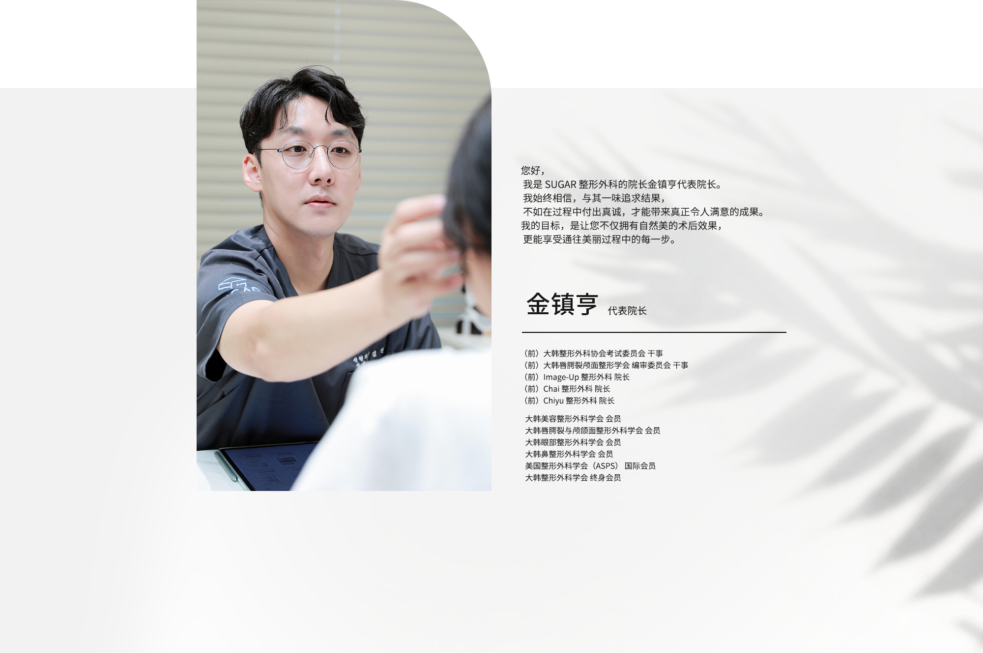 {金镇亨 代表院长} ·（前）大韩整形外科协会考试委员会 干事  ·（前）大韩唇腭裂颅面整形学会 编审委员会 干事  ·（前）Image-Up 整形外科 院长  ·（前）Chai 整形外科 院长  ·（前）Chiyu 整形外科 院长  · 大韩美容整形外科学会 会员  · 大韩唇腭裂与颅颌面整形外科学会 会员  · 大韩眼部整形外科学会 会员  · 大韩鼻整形外科学会 会员  · 美国整形外科学会（ASPS） 国际会员  · 大韩整形外科学会 终身会员