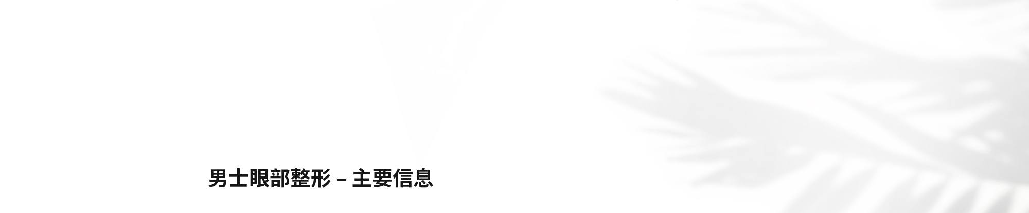 [男士眼部整形 – 主要信息]
