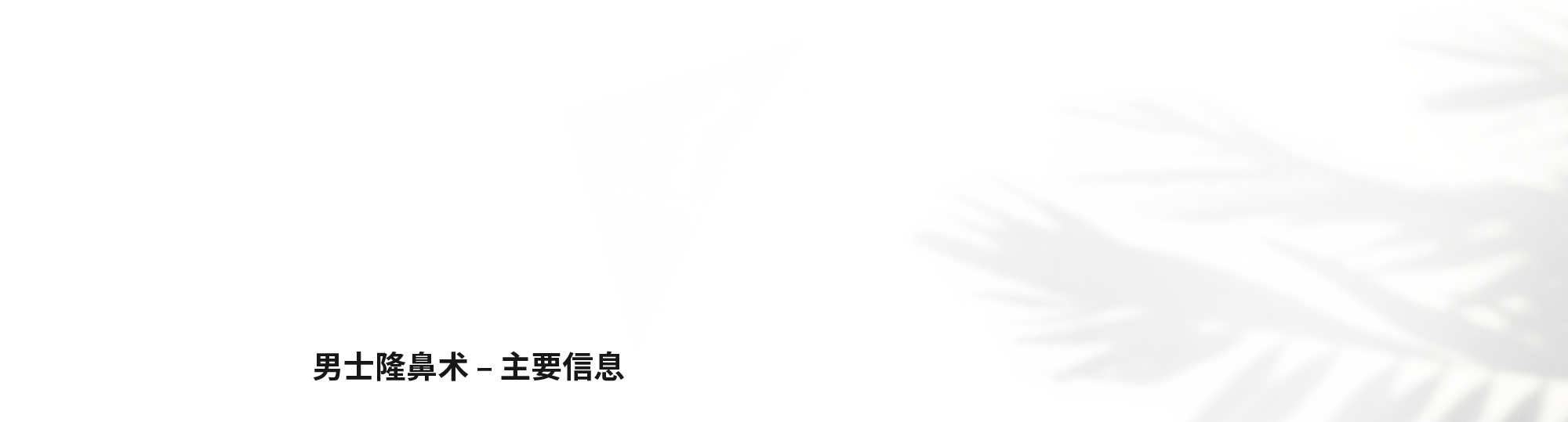 [男士隆鼻术 – 主要信息]