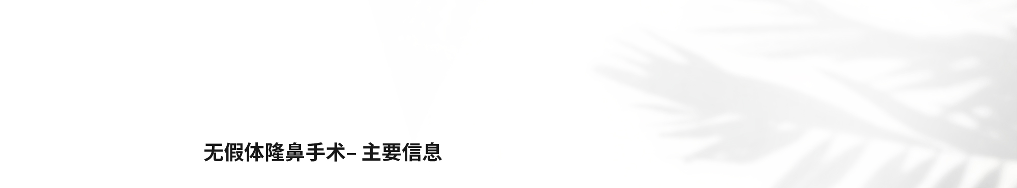 [无假体隆鼻手术– 主要信息]